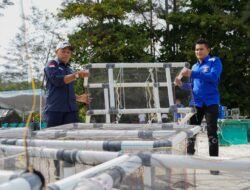 PT TIMAH dan HNSI Kolaborasi Tenggelamkan Atraktor Cumi di Perairan Bangka, Bantu Nelayan Hemat Biaya Melaut dan Jaga Ekosistem Pesisir